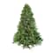 7.5ft. Pre-Lit Real Touch™️ Noble Fir Artificial Christmas Tree, Clear Lights